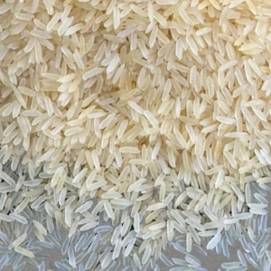 Pr11 Golden Sella Rice