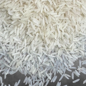 Sugandha Rice