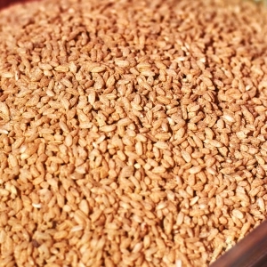 Unda Matta Rice