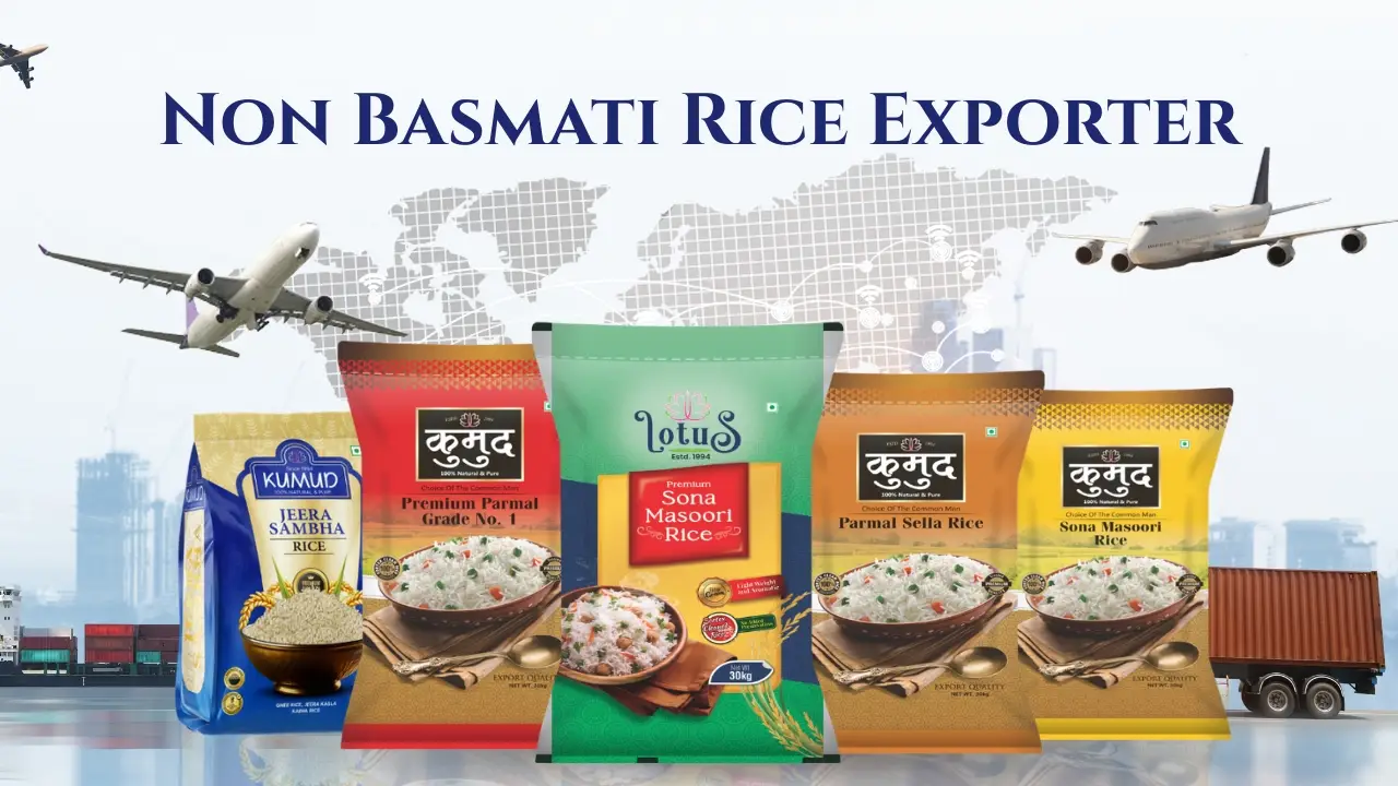 Non Basmati Rice Exports from India