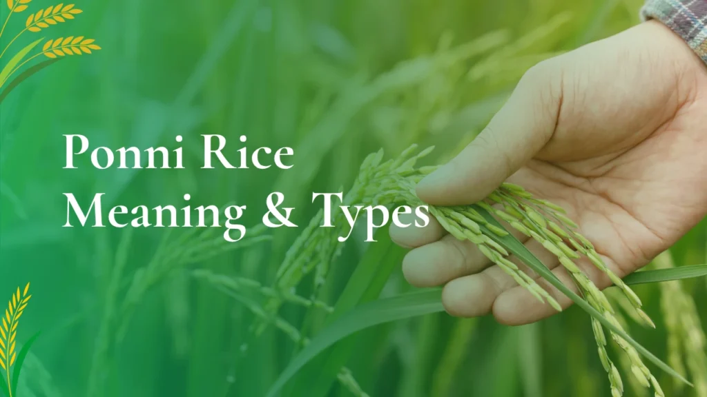 ponni rice meaning