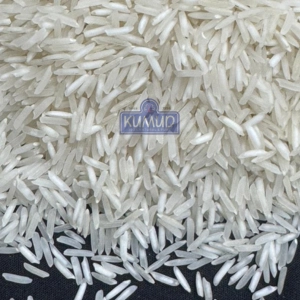 Traditional raw basmati rice