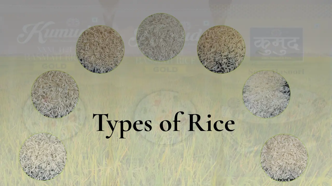 Types of Rice