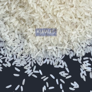 pr11 rice
