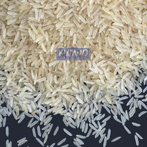 rh10 golden sella rice