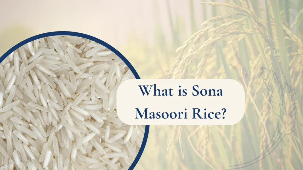 What is Sona Masoori Rice