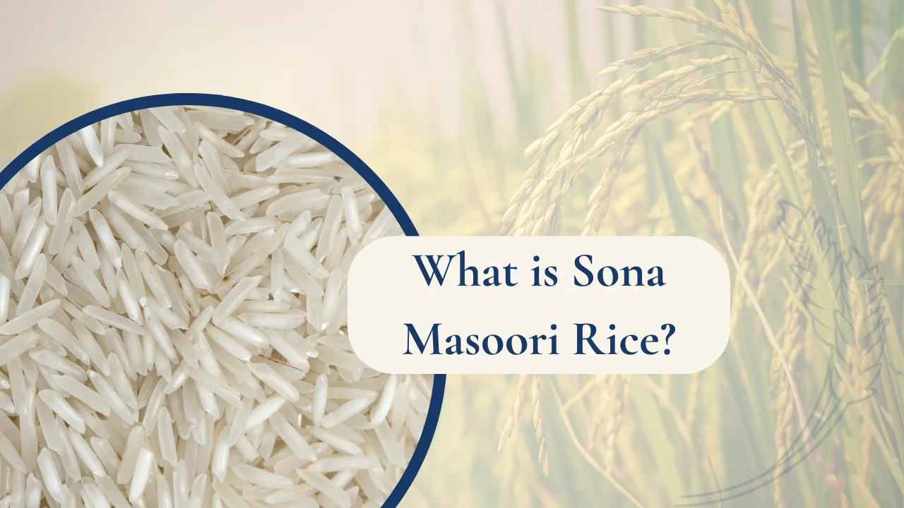 What is Sona Masoori Rice