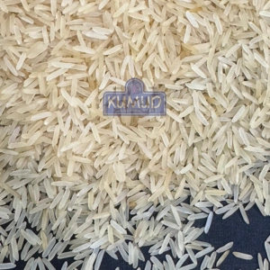sugandha pesticide free golden sella rice
