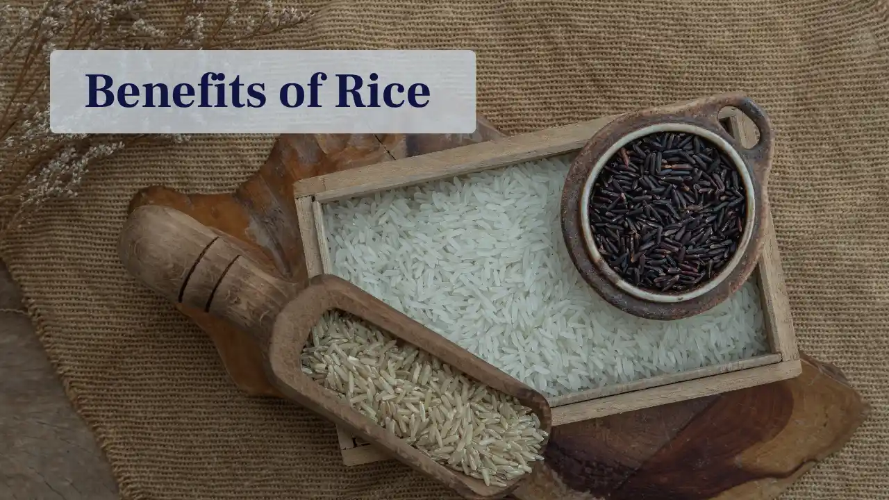 Benefits of Rice-optimized